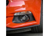 Front Fog Light trim cover frame